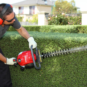 HONDA HHH25D HEDGECUTTER