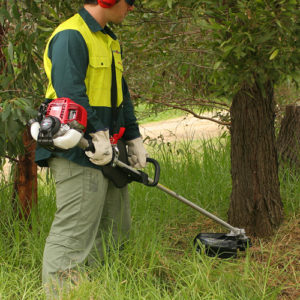 HONDA UMK435 LOOP HANDLE BRUSHCUTTER